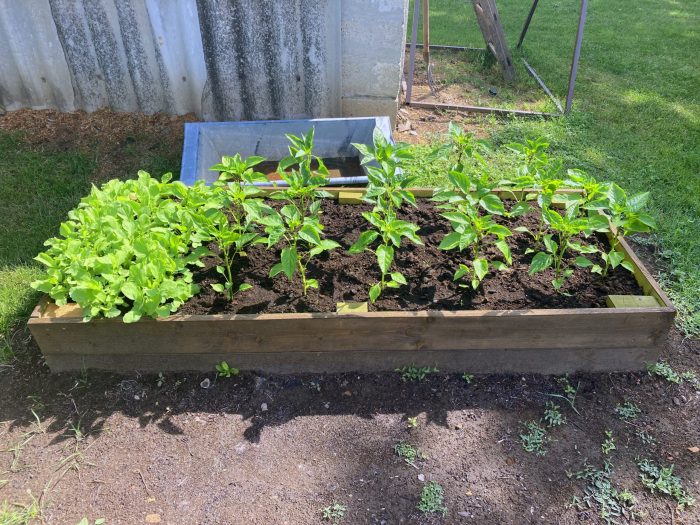 LSH Garden Box magaságyás - Image 10