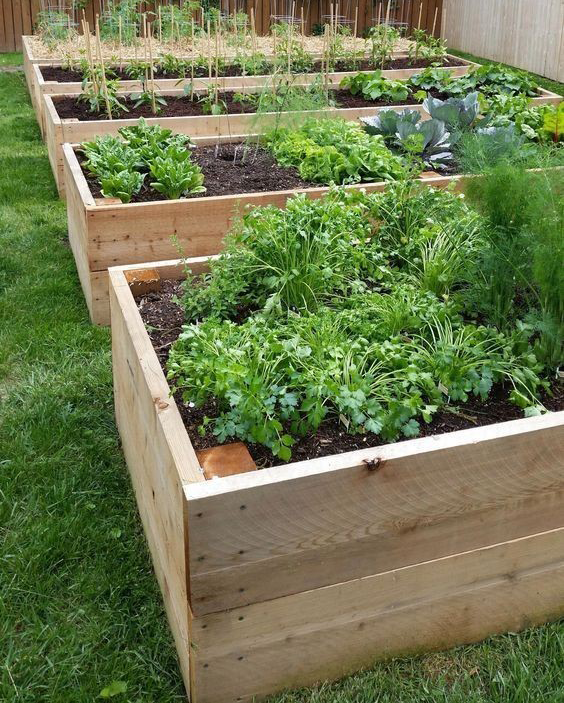LSH Garden Box magaságyás