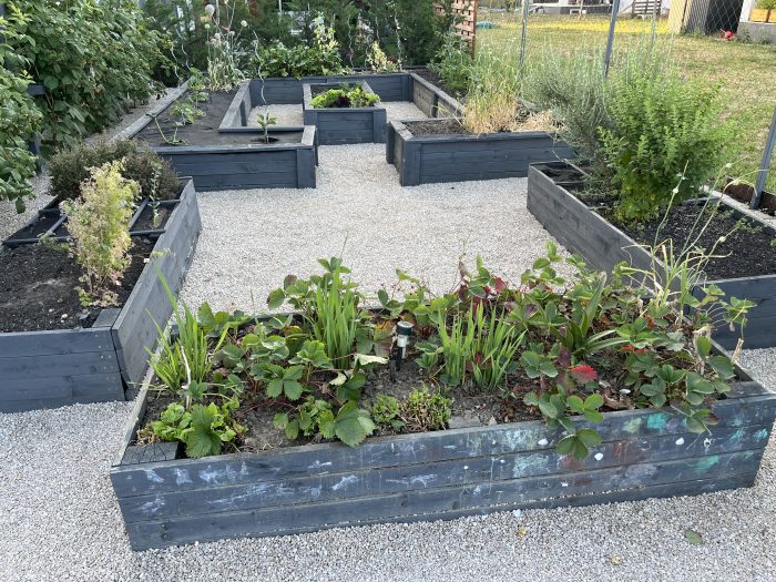 LSH Garden Box magaságyás - Image 27